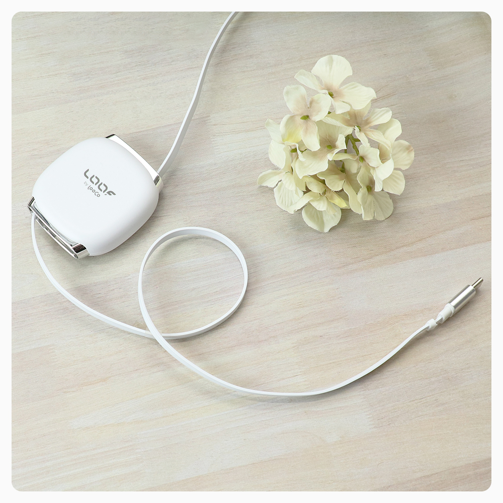 LOOF ロールアップケーブル 充電ケーブル リール式 急速充電 高速 8段階 長さ調節 Type-C タイプC PD対応 240W iphone android タブレット ノートPC iPad 車 デスク オフィス スマホ充電 薄い 軽い 軽量 吸着 絡まない 収納 出張 旅行 ミニマル 持ち運び